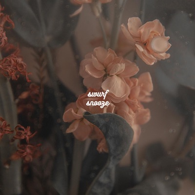 Swurf - Snooze