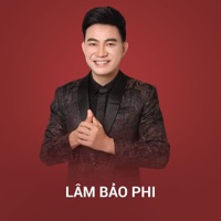 Tân Cổ Áo Mới Cà Mau (Beat) - Single - Lâm Bảo Phi