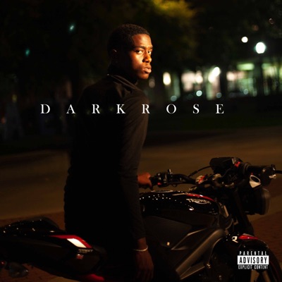 Dark Rose