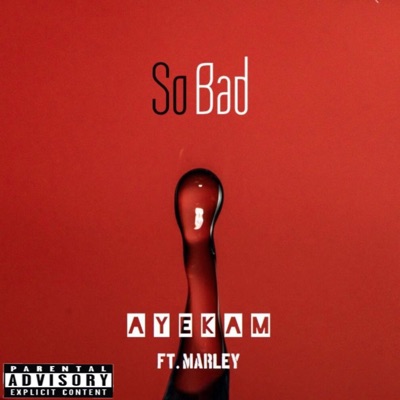 So Bad (feat. Marley Carter) - Single