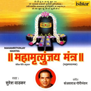Om Trayambakam Yajamahe, Pt. 2