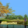 Instrumental Music - Bản tình cuối