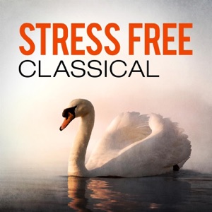 Carmen Suite No. 2: III. Nocturne