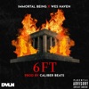 6 Ft (feat. Wes Haven) - Single