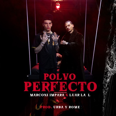 Polvo Perfecto - Single