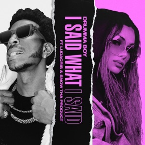 I Said What I Said (feat. Ludacris & Snow Tha Product)