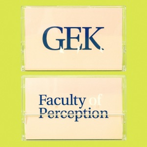 Faculty of Perception