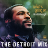 What's Going On: The Detroit Mix - Marvin Gaye