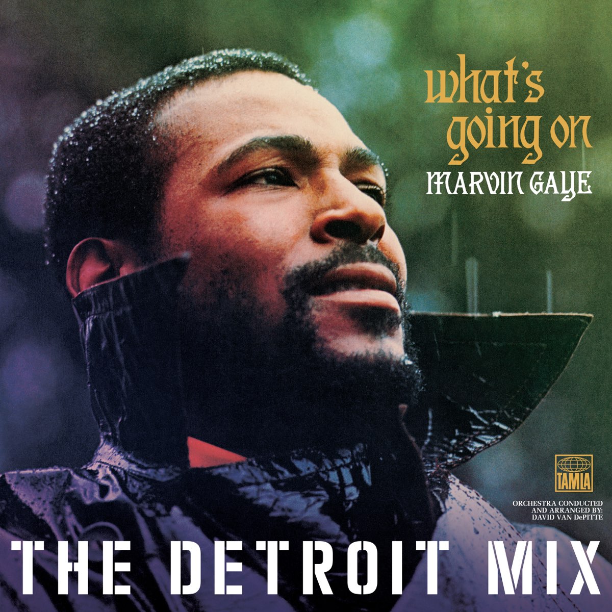 ‎What's Going On: The Detroit Mix - Album By Marvin Gaye - Apple Music