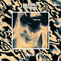 Vulnerable (Hectic Remix) - Single - Yumeaki