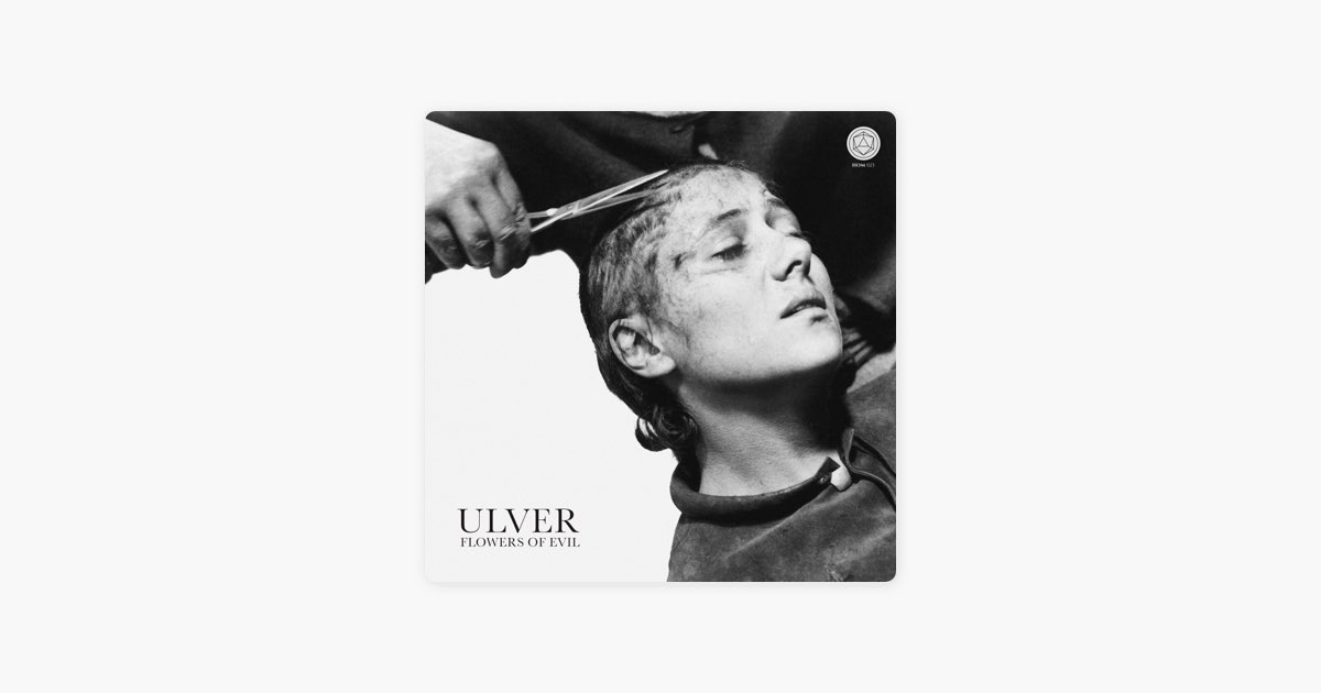 {album.title.rendered}