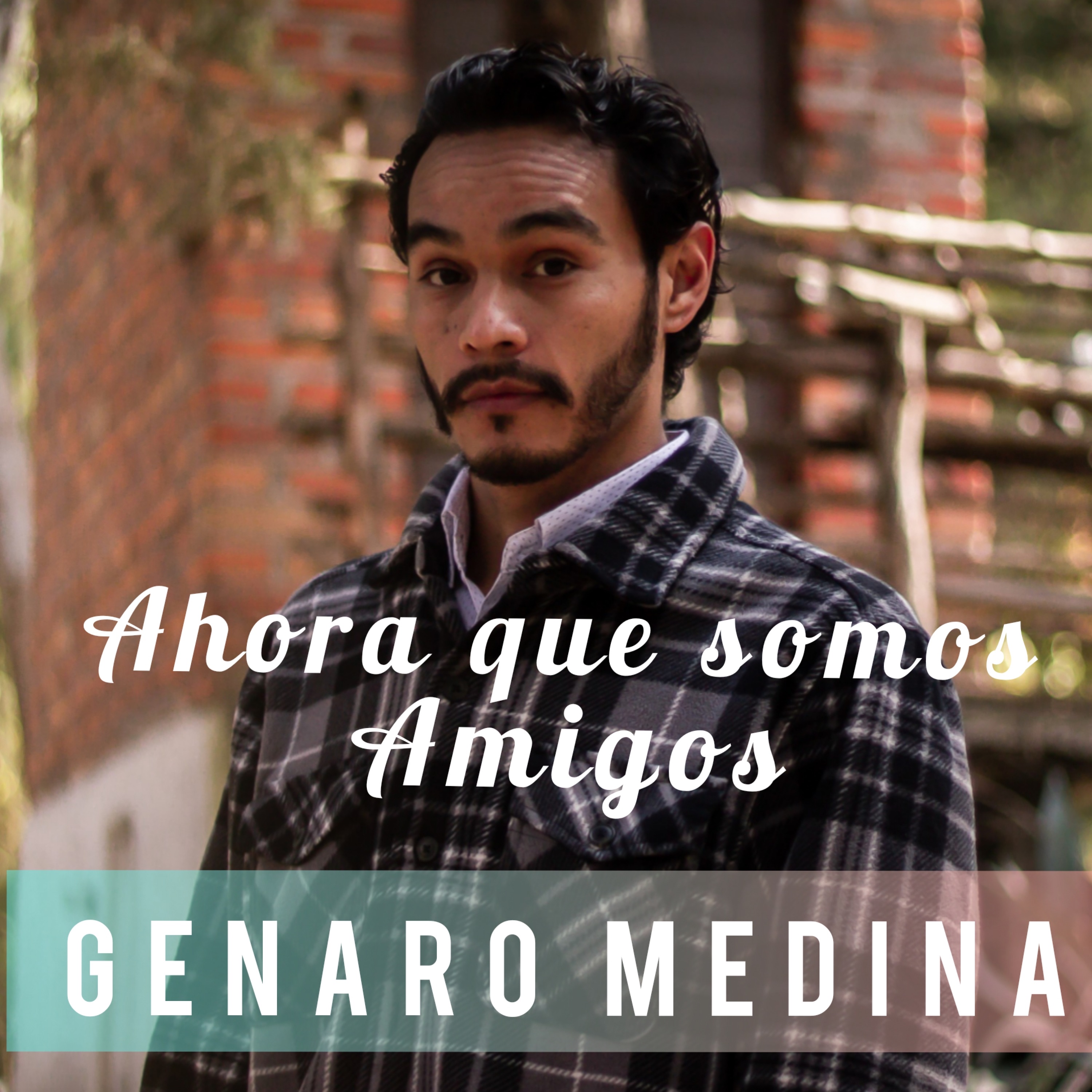 Ahora que somos amigos - Single