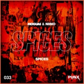 Spices (Extended Mix) artwork