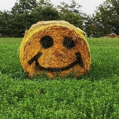 July Was Super Hot - Single