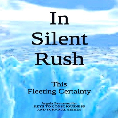 In Silent Rush: This Fleeting Certainty: Keys to Consciousness and Survival Series (Unabridged) cover