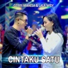 Cintaku Satu - Single