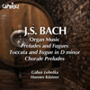 J. S. Bach: Organ Music, Preludes and Fugues, Toccata and Fugue in D Minor & Chorale Preludes - Hannes Kästner & Gabor Lehotka