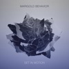 Marigold Behavior - Dhr