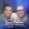 Meysam Ebrahimi - Jono Delam