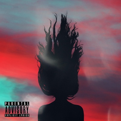 Don't Be Suprised (feat. Valious) - Single