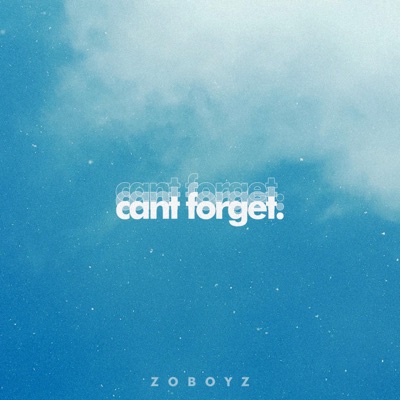 Can't Forget (feat. Kpz Khai & Dlz Lian) - Single