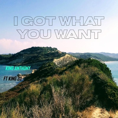 I Got What You Want (feat. King Zo) - Single