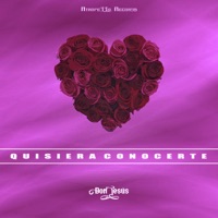 Quisiera Conocerte - Single - Don Jesus