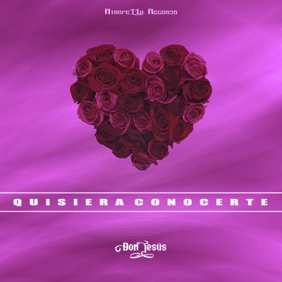 Quisiera Conocerte - Single