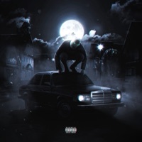 Я животное - Single - НОКТУ