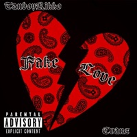 Fake Love (feat. EVANZ) - Single - Tanboy Rikko