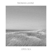 Thomas LaVine - Open Sea