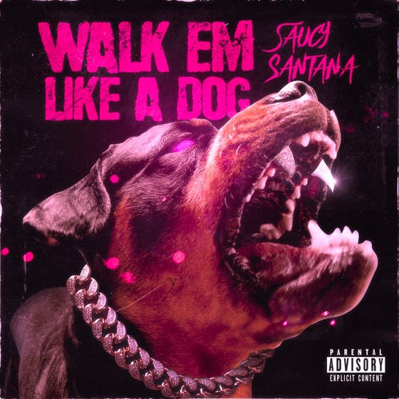 Cover artwork for Walk Em Like a Dog