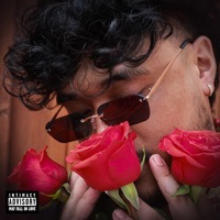 Now or Never - Single - NicoDee