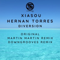 Diversion (Downgrooves Remix) - Single - Xiasou & Hernan Torres
