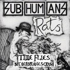Time Flies but Aeroplanes Crash + Rats