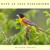 Bate as Asas Passarinho - Single