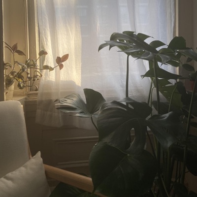 Love That Never Ends (feat. Praise Lubangu) - Single