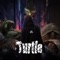 Turtle - AIIS lyrics