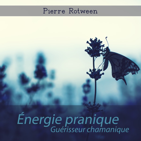 Énergie pranique: Guérisseur chamanique, Aperçu du mantra, Yoga ashtanga