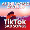 As the World Caves In by Matt Maltese iTunes Track 3