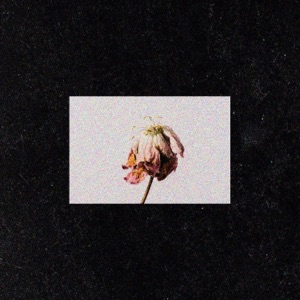 I'm Still Holding On - Single