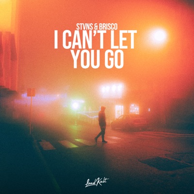 I Can't Let You Go - Single