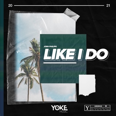Like I Do - Single