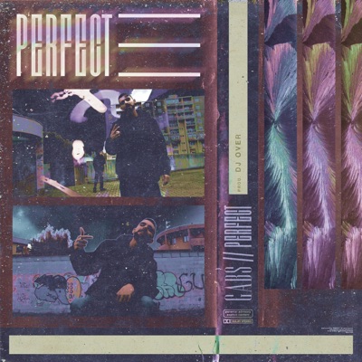 Perfect (feat. Dj Over) - Single