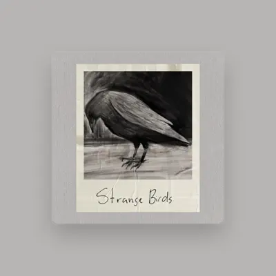 Listen to Strange Birds, watch music videos, read bio, see tour dates & more!