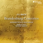 Brandenburg Concerto No. 3 in G Major, BWV 1048: I. [Ohne Satzbezeichnung] artwork
