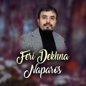 Feri Dekhna Naparos artwork