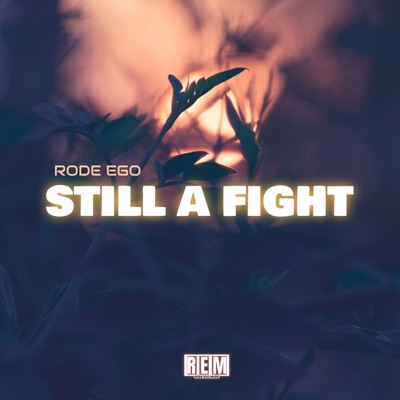 Still a Fight - Single