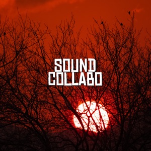 Nature Sounds Midnight Creek - Single