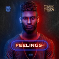 Feelings - EP - Edivaldo Prince